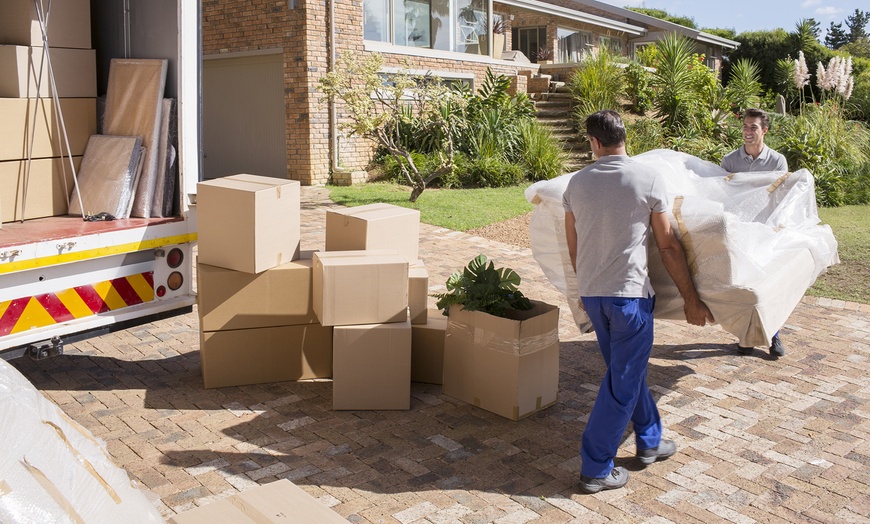The Art of Moving Expertise from Professional Movers